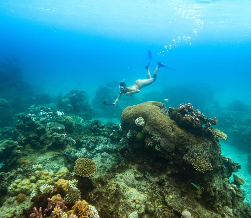 皇家达乌伊岛度假村 Royal Davui Island 外观 照片